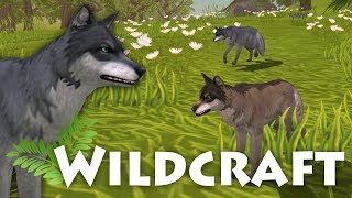 Learning Our Mates Secrets amp Surprises 🌿 WildCraft  A Wolfs Journey • 4 [upl. by Jeavons]