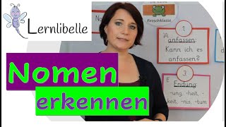 Nomen kennenlernen  Richtig schreiben Namenwörter erklärt für Schüler Frau Zimmer Lernlibelle [upl. by Burton965]