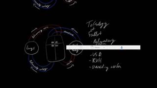 Valvular heart disease causes  Circulatory System and Disease  NCLEXRN  Khan Academy [upl. by Bertelli715]