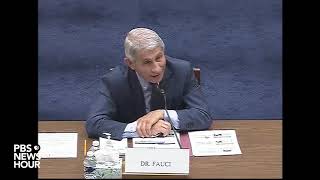 Widely cited hydroxychloroquine study is ‘flawed’ Fauci tells hearing [upl. by Ennaylil]