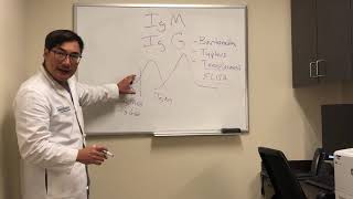 Immunoglobulin IgG and IgM interpretation of serological tests [upl. by Violante]