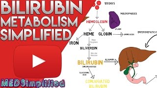 Bilirubin Metabolism Simplified [upl. by Kavita]