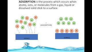 Water Purifciation By Adsorption ENGS102P [upl. by Hilten]