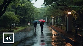 Relaxing Rainy Day Walk in Shibuya Yoyogi Park Japan [upl. by Diandre]