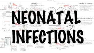 Neonatal Infections  Overview [upl. by Yortal76]