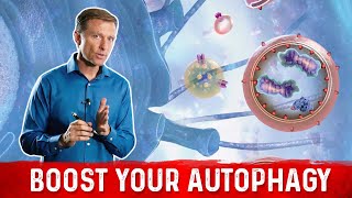 12 Ways to Trigger Autophagy [upl. by Lillywhite]