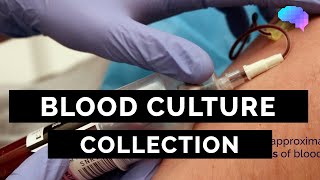 Blood Culture Collection  OSCE Guide  UKMLA  CPSA  PLAB 2 [upl. by Nisa]