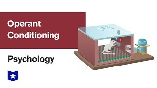 Operant Conditioning  Psychology [upl. by Essirehc]