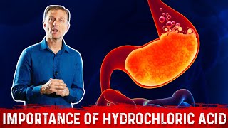 The Importance of Hydrochloric acid HCL in the Stomach – Dr Berg [upl. by Boykins]