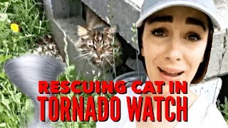 🙀SAVING LOST CAT DURING TORNADO WATCH🌪️ [upl. by Luella]