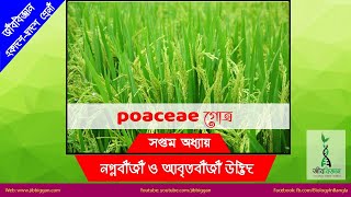 poaceae গোত্রের সনাক্তকারী বৈশিষ্ট্য [upl. by Stedman]