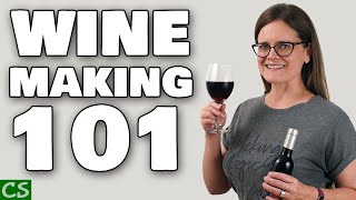 Wine Making 101  Beginner Basics for Wine Making at Home [upl. by Anemix203]