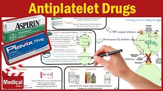 Pharmacology CVS 20 Antiplatelet Drugs Mechanism Of Action  Aspirin  Clopidogrel  Cilostazol [upl. by Tuesday]