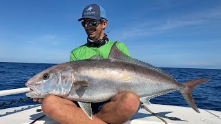 Vertical Jigging for Amberjacks  Live Fishing [upl. by Yerxa]