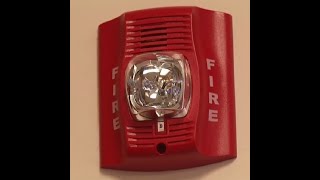 10 HOUR SCHOOL FIRE DRILL ALARM SOUND [upl. by Claiborne902]