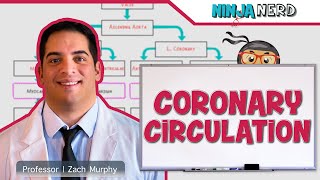 Circulatory System  Coronary Circulation [upl. by Luther]