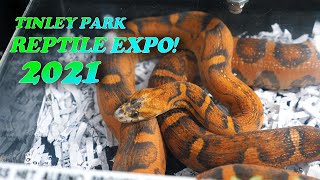 TINLEY PARK REPTILE EXPO OCTOBER 2021 [upl. by Thorley680]