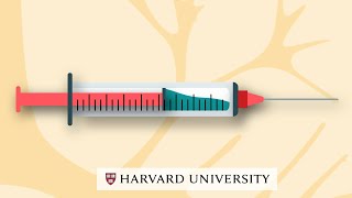 How mRNA vaccines work [upl. by Ariuqahs]