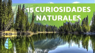 15 CURIOSIDADES de la NATURALEZA que te sorprenderán [upl. by Ruon874]