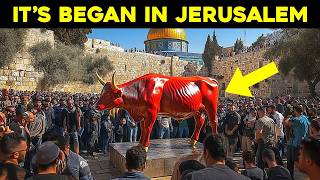 Jerusalem Prepares For Jesus To Return [upl. by Bernt]