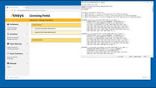 Ansys Licensing Managing Activations [upl. by Fang]