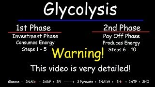 Glycolysis  Biochemistry [upl. by Winograd]