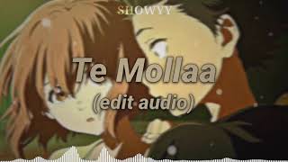 Te Molla Edit Audio [upl. by Liuqa]