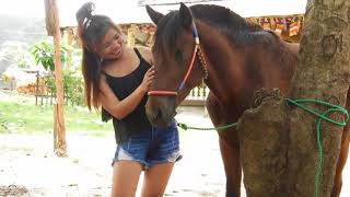 Girl Training Her Horse At Farm DariyaTube [upl. by Diena]