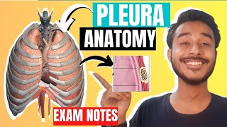 Pleura anatomy 3D  Difference between visceral and parietal pleura [upl. by Gorey964]