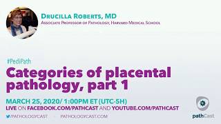 Categories of placental pathology  Dr Roberts MGH PEDIPATH [upl. by Lilithe]