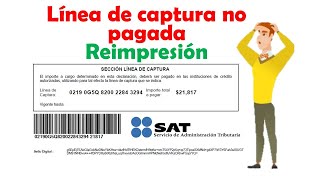 Reimpresión de Linea de Captura Vencida  SAT 2024 [upl. by Livi]