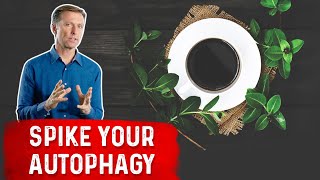 Enhance Autophagy with Coffee and Herbs [upl. by Annahavas]