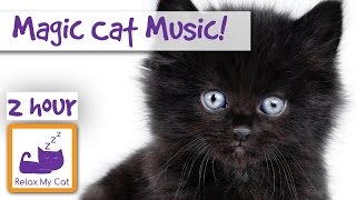 Magic Cat Music Watch Your Cat Fall Asleep Before Your Eyes with Our Specially Designed Cat Music [upl. by Lutim]