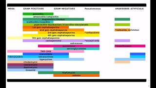 Antibiotic Coverage Made Easy  USMLE  COMLEX [upl. by Intyre]