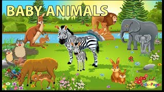 Baby Animals Names and Sounds [upl. by Pavkovic]