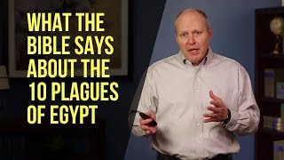 What the Bible Says About the 10 Plagues of Egypt [upl. by Fiore628]