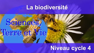 La biodiversité [upl. by Rumilly]