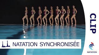 Grâce et Performance  La Natation Synchronisée par lEquipe de France  CLIP [upl. by Yirinec]