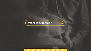 What is silicosis Professor Malcolm Sim [upl. by Assille521]