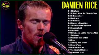 Damien Rice Greatest Hits  Best Of Damien Rice Full Album  Damien Rice Playlist  indie rock 2018 [upl. by Fionna]