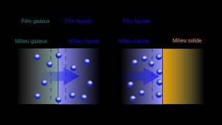 Absorption vs Adsorption 【4K】 [upl. by Notwal]