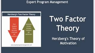 Two Factor Theory  Herzbergs Theory of Motivation [upl. by Eimarej376]