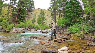 Fly Fishing the most INCREDIBLE Stream in Wyoming  Fly Fishing Wyoming part 3 [upl. by Akemhs968]