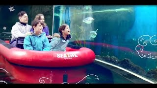 Experience the Ultimate Penguin Expedition at SEA LIFE Sydney Aquarium [upl. by Zetnahs]