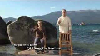 Qi Gong for Seniors with Lee Holden [upl. by Anwaf]