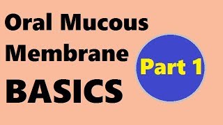 Oral mucous membrane  Part 1 Basics [upl. by Ekard383]