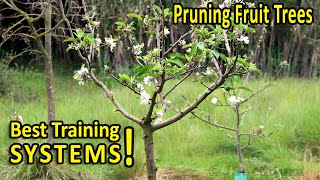 PRUNING FRUIT TREES  BEST SHAPES for SIZE and PRODUCTION [upl. by Lekcar52]