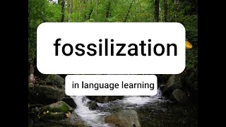 Fossilization in language learning [upl. by Rempe]