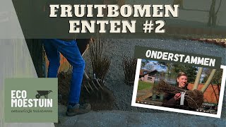 Fruitboom onderstammen [upl. by Brackely]