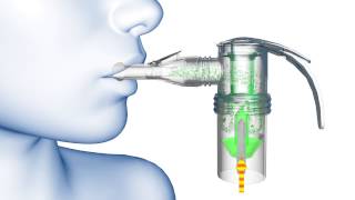 PARI LC® Nebulizer Animation [upl. by Thanh647]